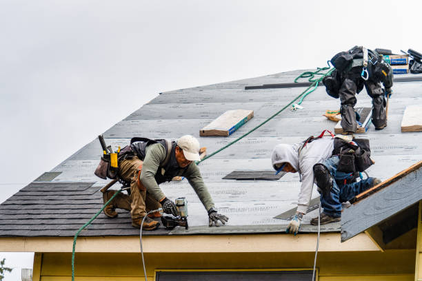 Professional Gutter Installation technician working in Leggett, TX